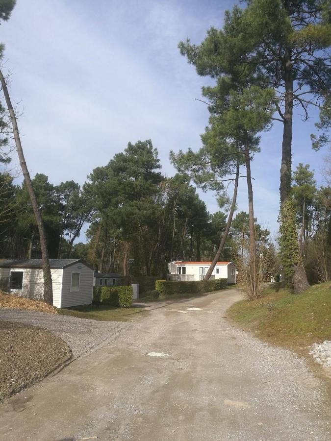 La Dune Blanche Campsite *